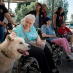 Ilustrační obrázek k článku Senioři v zoo